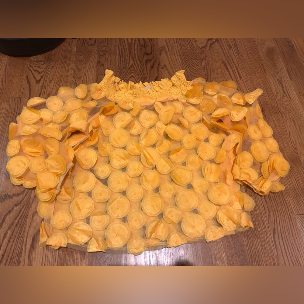 Yellow Floral Appliqué Sheer Blouse